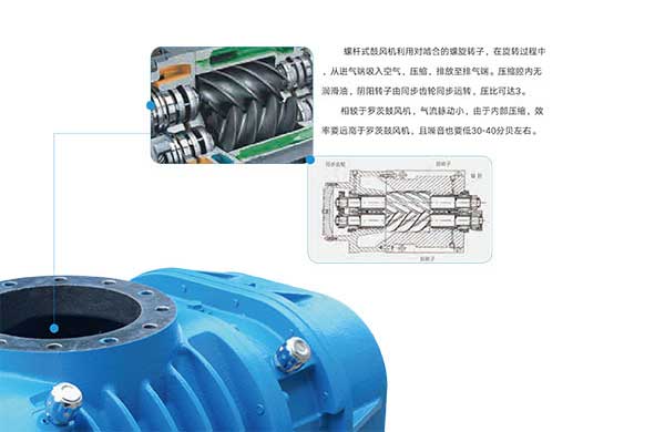 雅之雷悳-無油螺桿皷風機-4