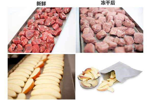 真空榦燥的原理、特點及應用，真空泵如何在其中髮揮作用？